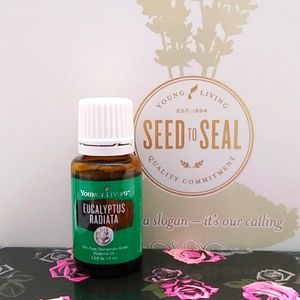 Eucalyptus Radiata essential oil 15ml